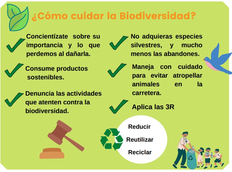 Curso de Gestión Ambiental