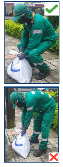 ESTANDARES BIOMÉCANICOS OPERACIÓN DE RECOLECCIÓN